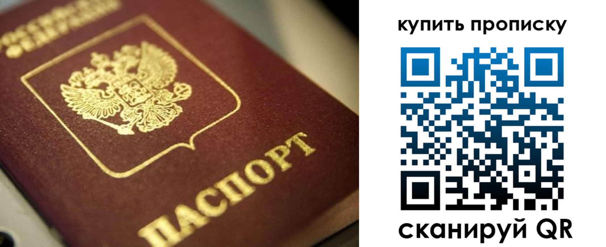 прописка поиск в Белгороде